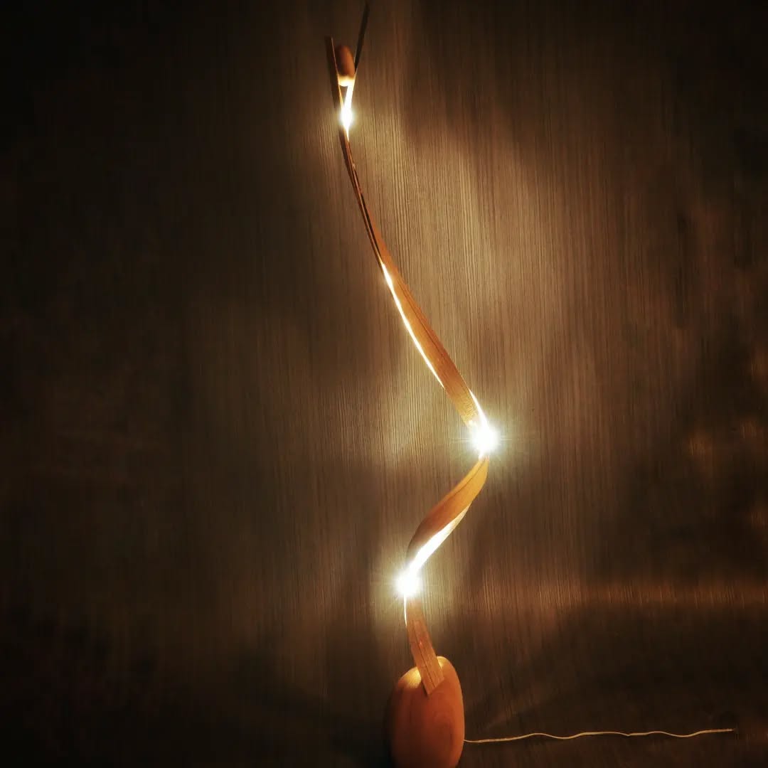 Lumiere Teck — ash blades and teak veneer, amber LED glow